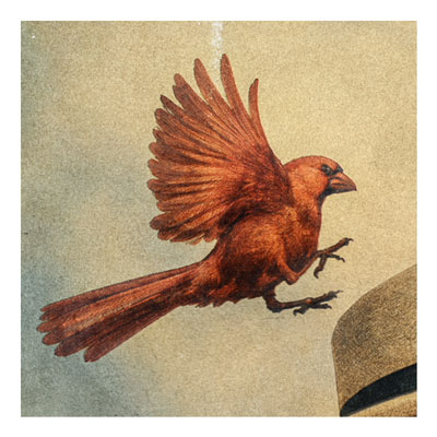 samp_bird-hat-a